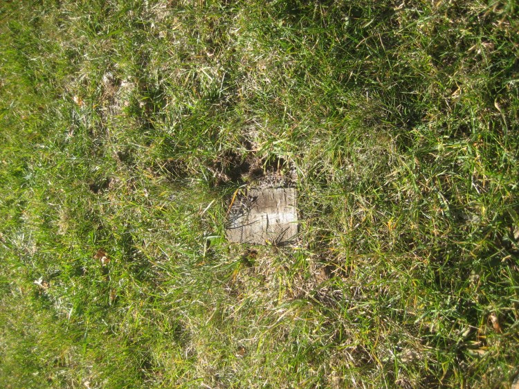 L'un des deux poteaux encadrant l'enseigne, scié à raz le sol