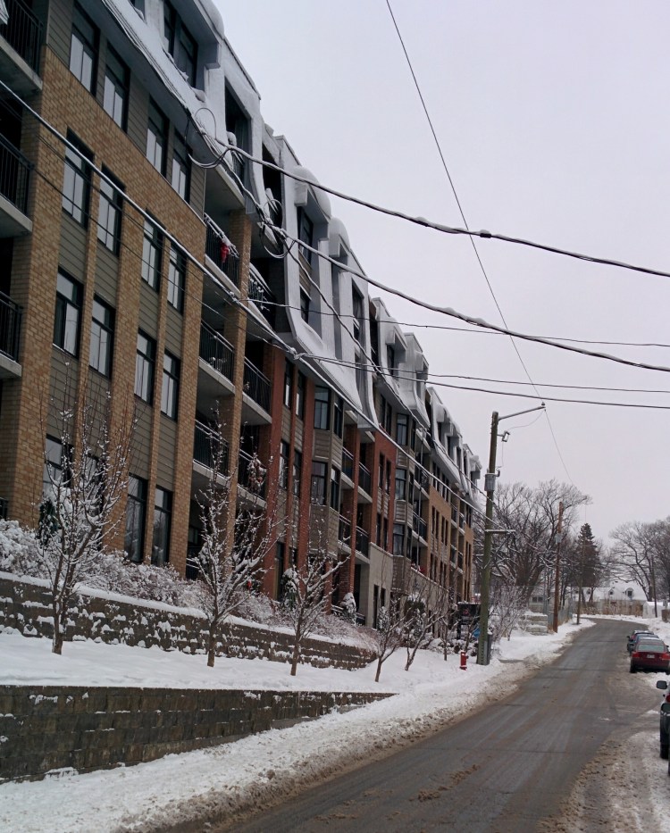 Vieux-Lévis Jazz 2005